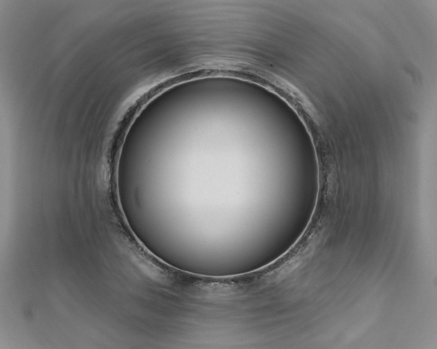 X0000112541027200908171438