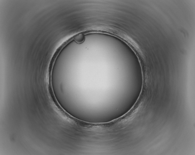 X0000112541028200908171438