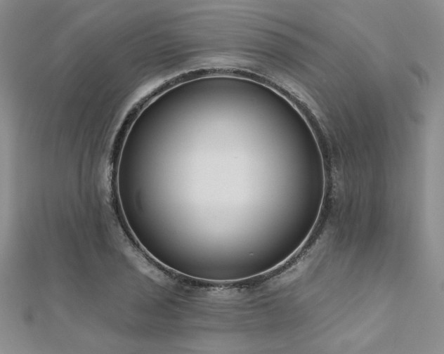 X0000112541029200908171438