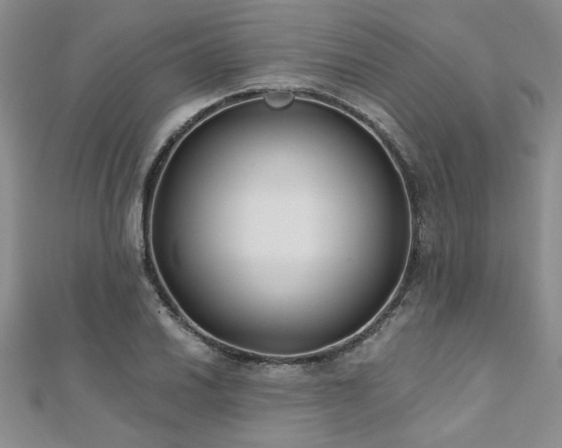X0000112541030200908171438