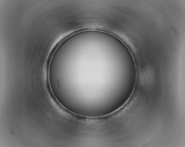 X0000112541032200908171438