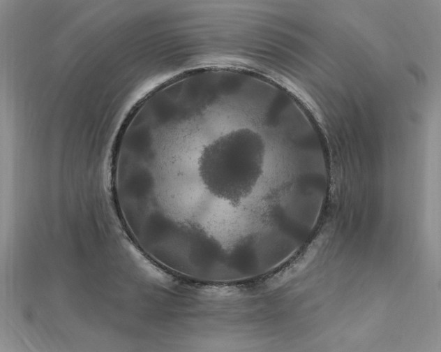 X0000112541037200908171438