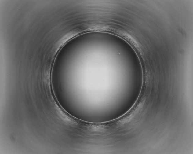 X0000112541041200908171438