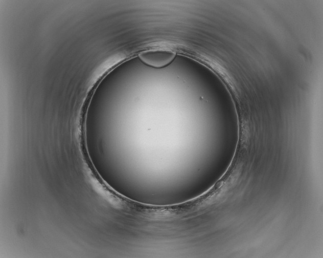 X0000112541042200908171438