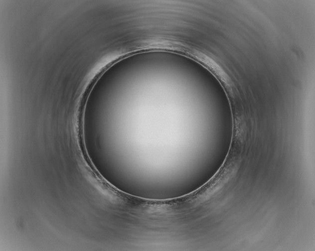 X0000112541043200908171438
