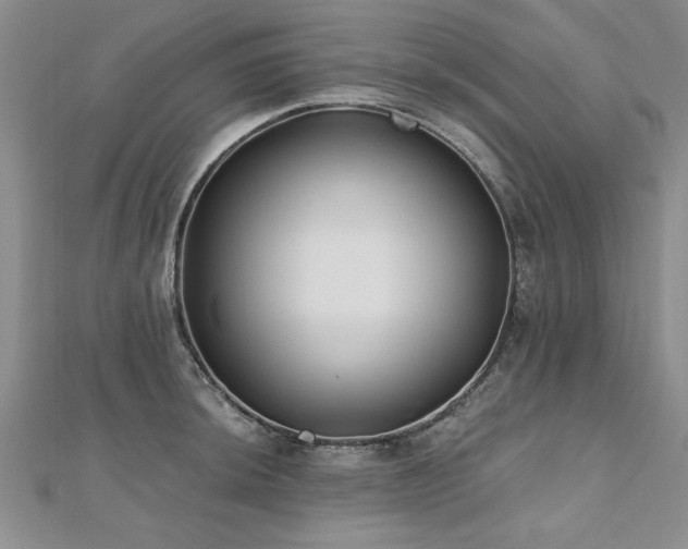 X0000112541044200908171438