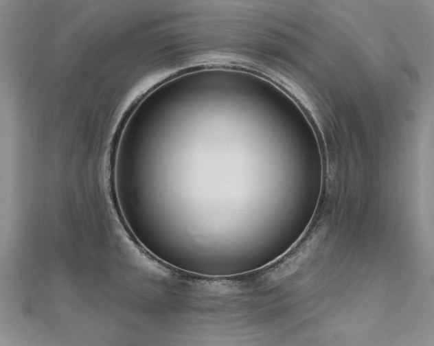 X0000112541045200908171438