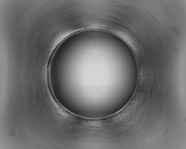 X0000112541047200908171438