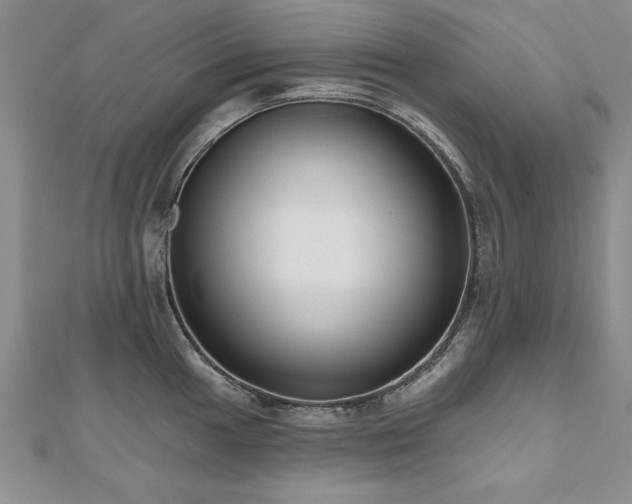 X0000112541049200908171438