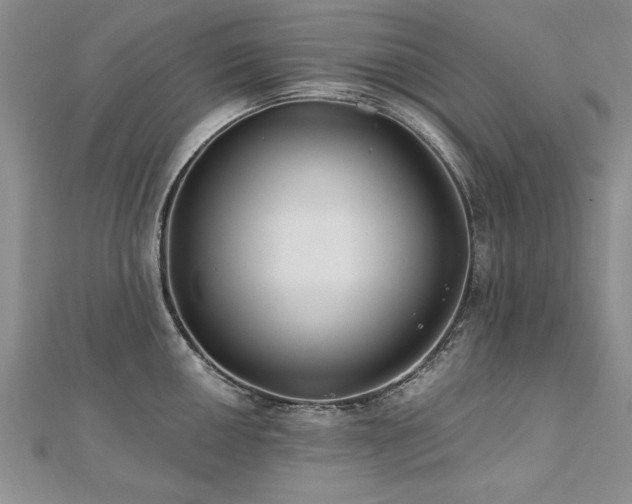 X0000112541050200908171438
