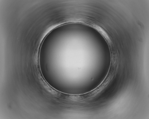 X0000112541052200908171438