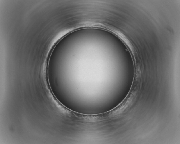 X0000112541053200908171438