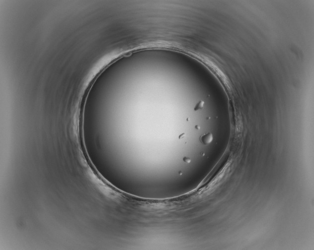 X0000112541054200908171438