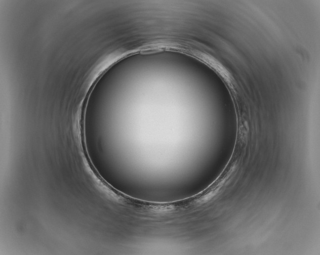 X0000112541055200908171438