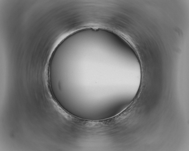 X0000112541056200908171438