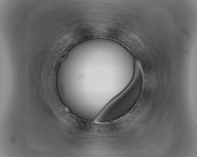 X0000112541057200908171437