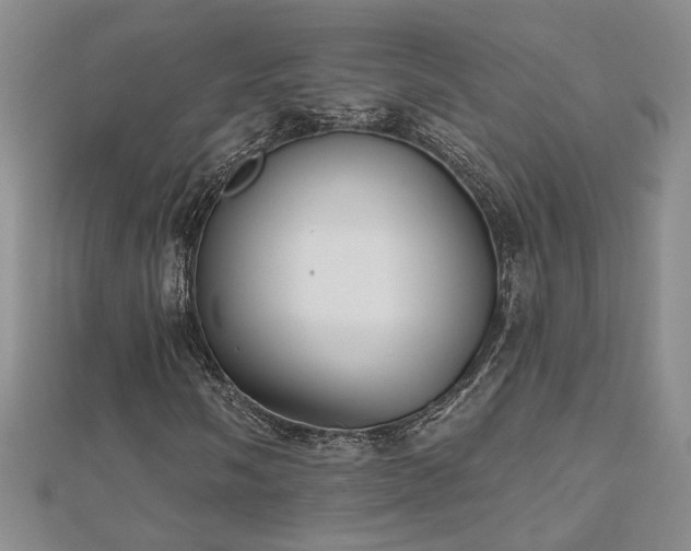 X0000112541058200908171437