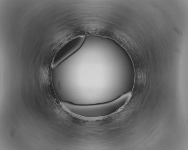X0000112541060200908171437