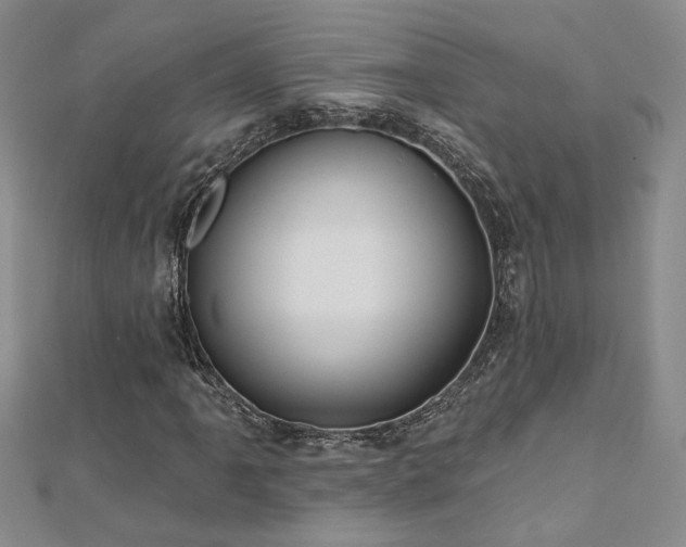 X0000112541061200908171437