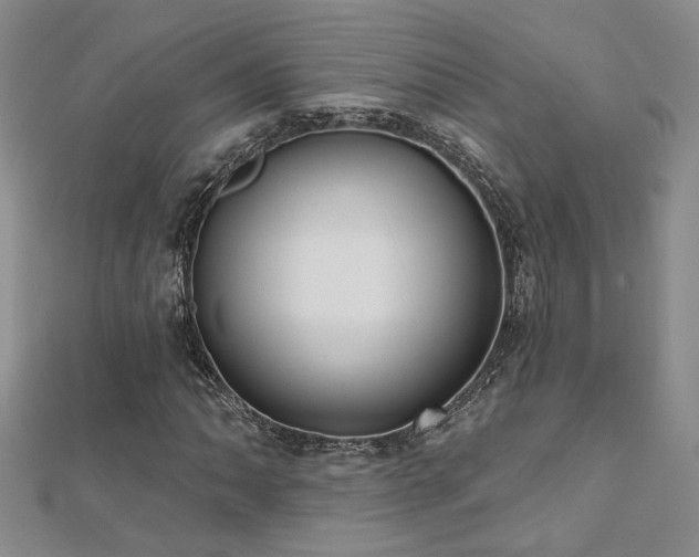X0000112541062200908171437