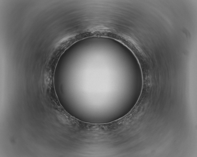 X0000112541063200908171437
