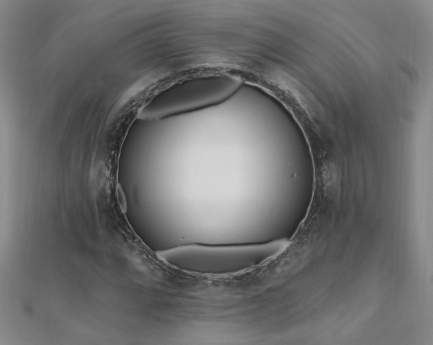 X0000112541064200908171437