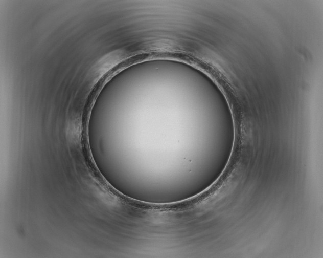 X0000112541065200908171437