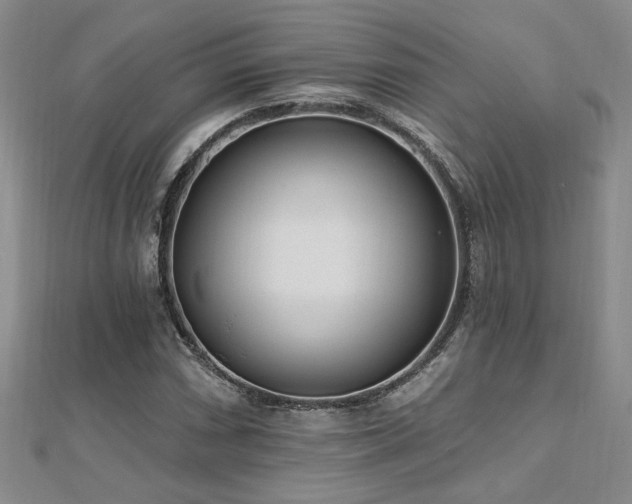 X0000112541066200908171437