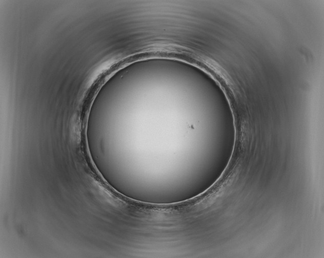 X0000112541067200908171437