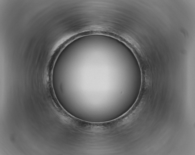 X0000112541070200908171437
