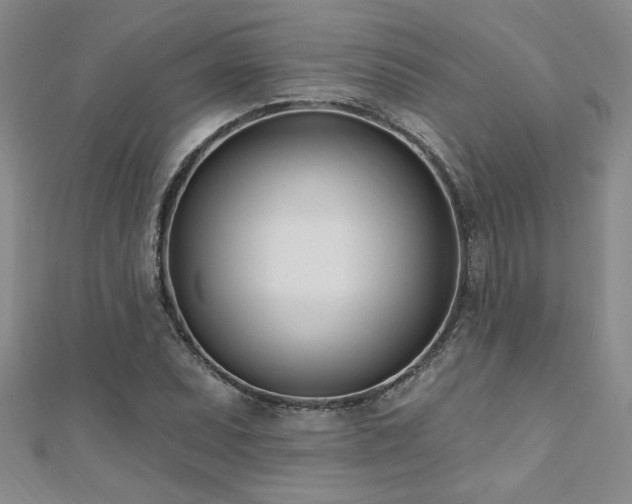 X0000112541071200908171437