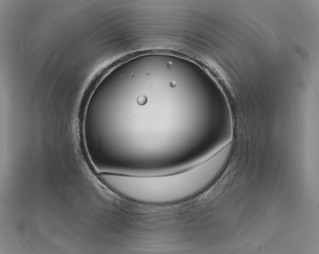 X0000112541072200908171437