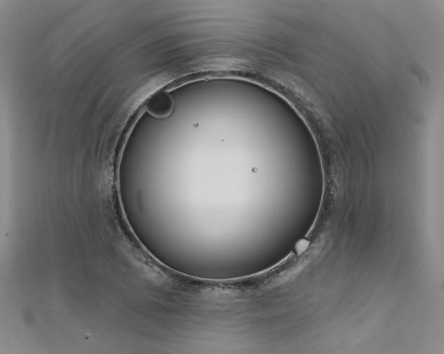 X0000112541073200908171437