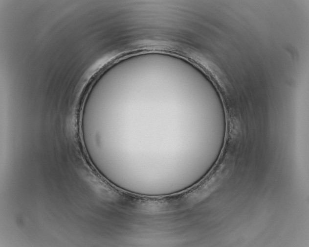 X0000112541074200908171437