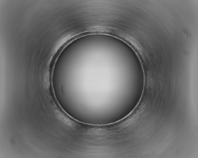 X0000112541075200908171437