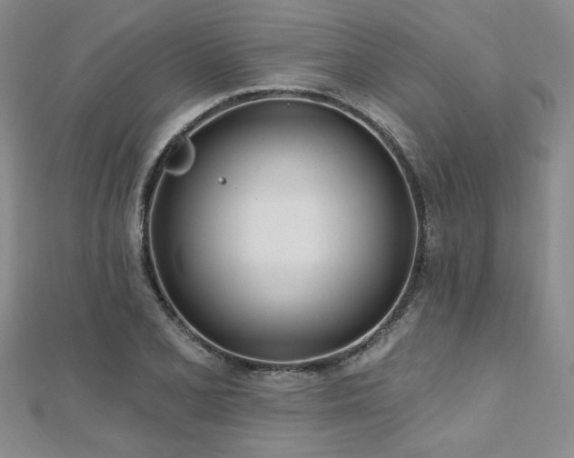 X0000112541077200908171437