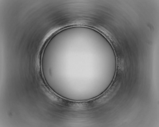 X0000112541078200908171437