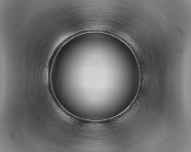 X0000112541079200908171437