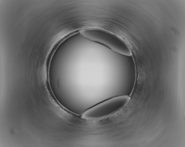 X0000112541080200908171437