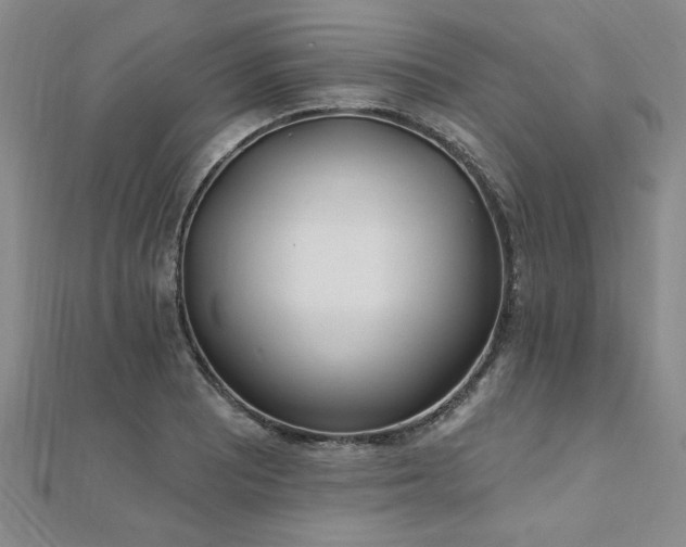 X0000112541081200908171437