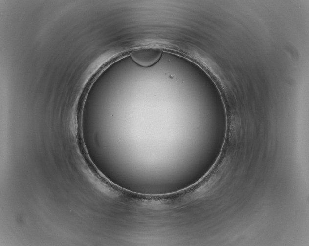 X0000112541082200908171437