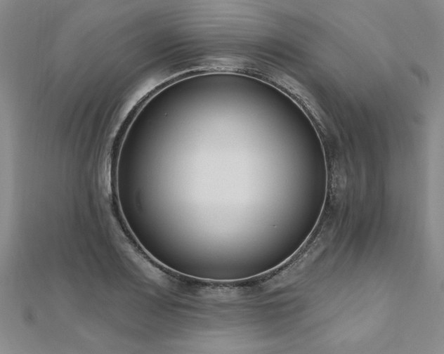 X0000112541083200908171437