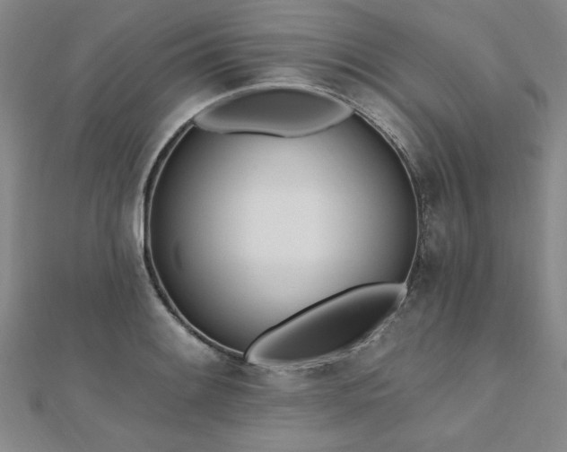 X0000112541084200908171437