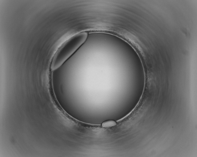 X0000112541085200908171437