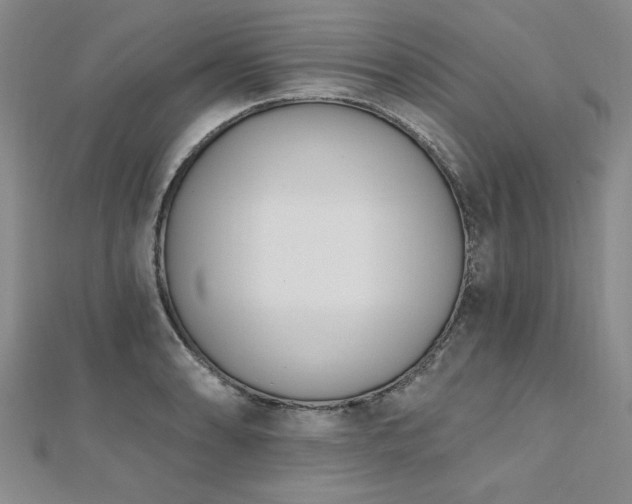 X0000112541086200908171437