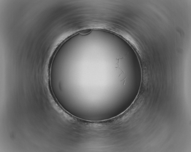 X0000112541088200908171437