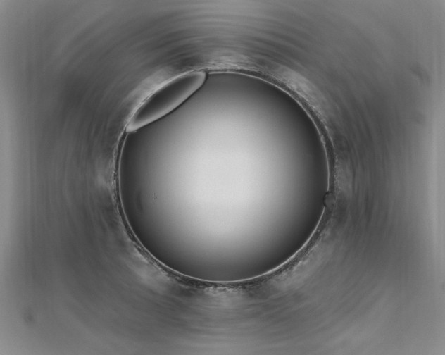 X0000112541089200908171437
