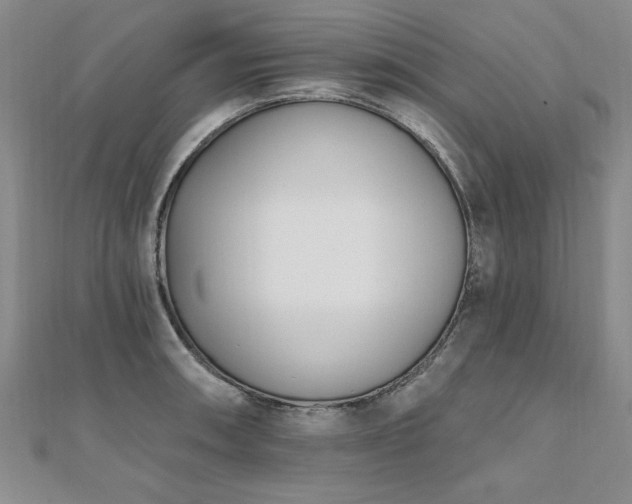 X0000112541090200908171437