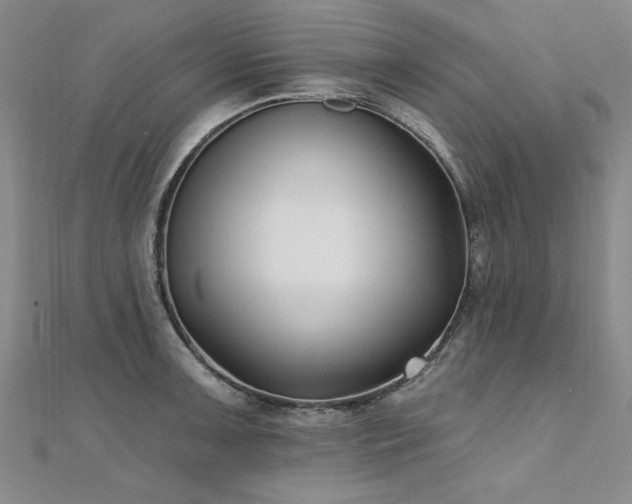 X0000112541091200908171437