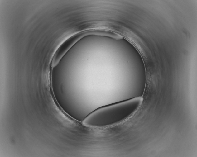 X0000112541092200908171437